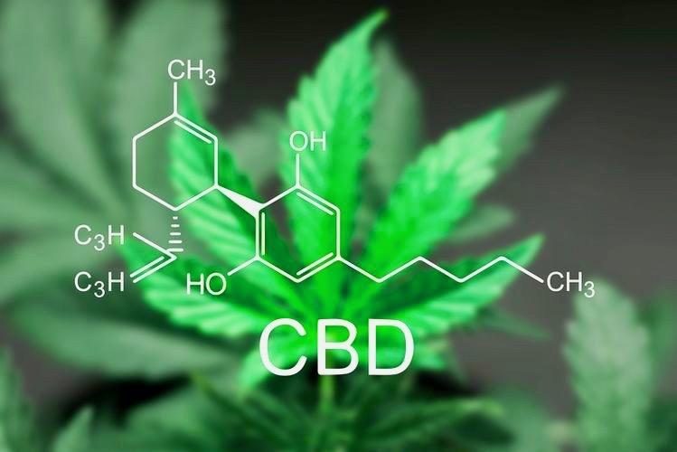 CBD Oil - What's All the Commotion About? CBD Oil - A sheet of cannabis marijuana in the defocus with the image of the formula CBD